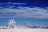Frosted Landscape_52650